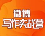 村西边老王·微博超级写作实战营,帮助你粉丝猛涨价值999元-网赚资源网