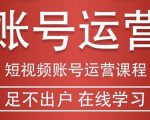 短视频账号运营课程:从话术到短视频运营再到直播带货全流程,新人快速入门-网赚资源网