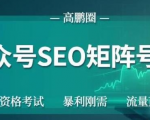 高鹏圈公众号SEO矩阵号群,实操20天纯收益25000+,普通人都能做-网赚资源网