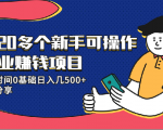 20多个新手可操作的副业赚钱项目：业余时间0基础日入几500+实操分享-网赚资源网