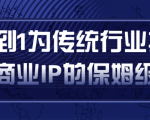 从0到1为传统行业打造抖音商业IP简单高效的保姆级攻略-网赚资源网