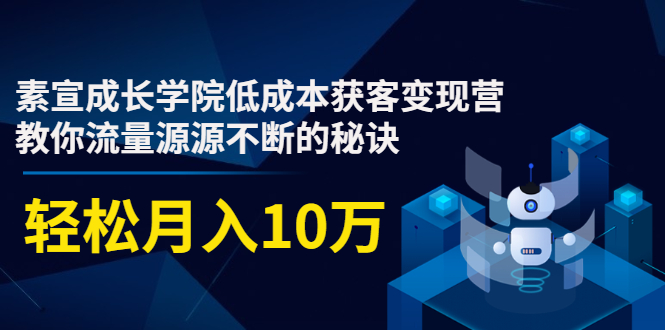 素宣成长学院低成本获客变现营，教你流量源源不断的秘诀，轻松月入10万 - 网赚资源网-网赚资源网