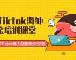 最新Tiktok海外掘金培训课堂:带你玩转Tiktok暴力涨粉轻松变现-网赚资源网