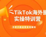 TikTok海外掘金实操特训营:手把手教运营变现赚钱-网赚资源网