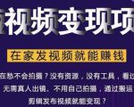 在家也能操作的短视频赚钱项目,无需真人,不用拍摄,纯搬运月入2到5万-网赚资源网