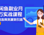 2021闲鱼副业月入过万实战课程:从开店到选择货源到引流,全程实战教学-网赚资源网