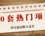 30套热门项目:单日最高收入过万 (网赚项目、朋友圈、涨粉套路、抖音、快手)等-网赚资源网