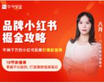 品牌小红书掘金攻略,年销千万的小红书品牌打爆款指南-网赚资源网