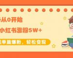 生财小红书涨粉变现:新账号从0开始3个月小红书涨粉5W+实现单篇爆粉-网赚资源网