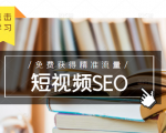 未来新趋势,布局短视频SEO,如何利用抖音SEO免费获得精准流量(3节课)-网赚资源网