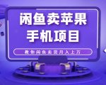 闲鱼卖苹果手机项目,教你闲鱼卖货月入上万-网赚资源网