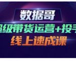 数据哥·超级带货运营+投手线上速成课,快速提升运营和熟悉学会投手技巧-网赚资源网