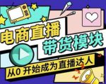 大鹏·电商直播带货课,系统学习直播带货各环节技巧和套路-网赚资源网
