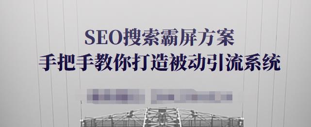 SEO搜索霸屏方案，手把手教你打造被动引流系统【视频课程】 - 网赚资源网-网赚资源网