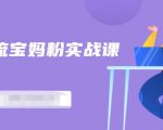 百度贴吧引流宝妈粉实战课,小白也可以日引100+精准粉-网赚资源网