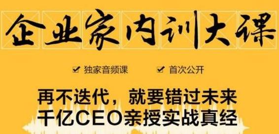 企业家内训大课，未来企业必学经验，价值1299元 - 网赚资源网-网赚资源网