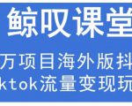 鲸叹号·海外TIKTOK训练营，百万项目海外版抖音tiktok流量变现玩法-网赚资源网