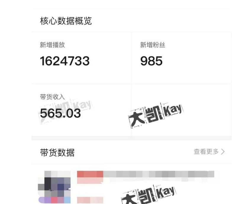 大凯进阶圈新玩法之拼多多视频玩法，利润大概一个号一天能有500~1500的左右! - 网赚资源网-网赚资源网