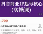 抖音商业IP起号核心实操课,带你玩转算法,流量,内容,架构,变现-网赚资源网