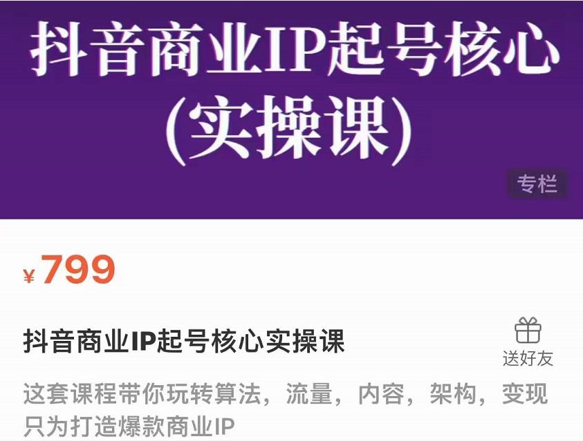 抖音商业IP起号核心实操课，带你玩转算法，流量，内容，架构，变现 - 网赚资源网-网赚资源网