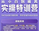 Seven漆·2022Tiktok从小白到精英实操特训营,带你掌握Tiktok账号运营-网赚资源网