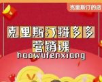 克里斯汀拼多多运营课,适合小白初涉平台,低成本入门-网赚资源网