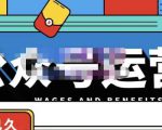 零零已久·从0-1运营公众号,零基础小白也能上手,系统性了解公众号运营-网赚资源网