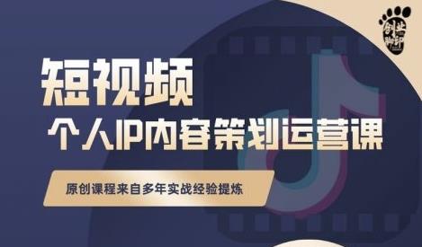 抖音短视频个人ip内容策划实操课，真正做到普通人也能实行落地 - 网赚资源网-网赚资源网