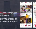 麦子互娱短视频带货·0基础做好物分享账号,无需出镜无需货源无需拍摄-网赚资源网