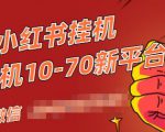 视频号小红书抖音挂机项目,小白无脑操作,按照要求来,单号每天几十米-网赚资源网
