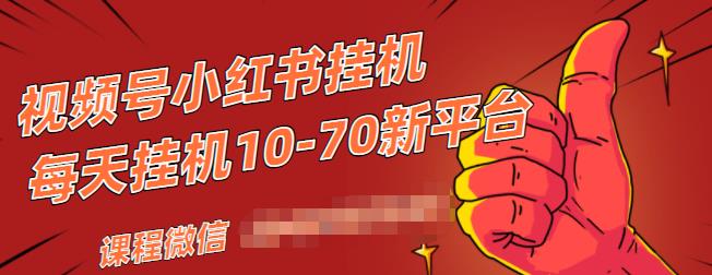 视频号小红书抖音挂机项目，小白无脑操作，按照要求来，单号每天几十米 - 网赚资源网-网赚资源网