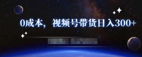 零基础视频号带货赚钱项目，0成本0门槛轻松日入300+【视频教程】 - 网赚资源网-网赚资源网