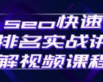 seo快速排名实战讲解视频课程，揭秘seo快排原理-网赚资源网