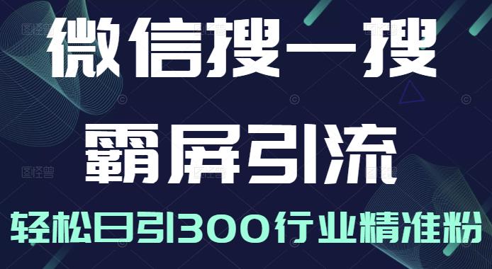 微信搜一搜霸屏引流课，打造被动精准引流系统，轻松日引300行业精准粉-网赚资源网