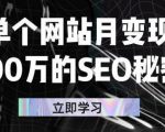 单个网站月变现100万的SEO秘密,百分百做出赚钱站点-网赚资源网