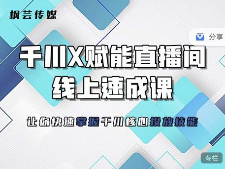 枫芸传媒-线上千川提升课，提升千川认知，提升千川投放效果 - 网赚资源网-网赚资源网