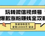 玩转微信视频号爆款涨粉赚钱全攻略,快速涨粉百万变现万元秘诀-网赚资源网