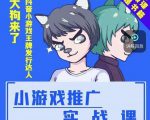 大狗来了:小游戏推广实战课,带你搭建一个游戏推广变现账号-网赚资源网