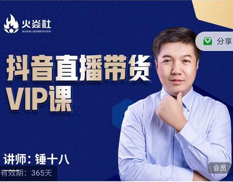 锤十八-抖音直播带货VIP课，专注直播带货有效盈利模式-网赚资源网