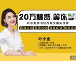 叶小鱼21天短视频文案拆书营,学完轻松搞定各类书单短视频文案-网赚资源网