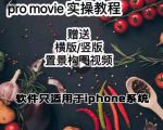 漆十二美食摄影，25​节promovie实操高手课节-网赚资源网