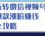 玩转微信视频号爆款涨粉赚钱全攻略,让你快速抓住流量风口,收获红利财富-网赚资源网