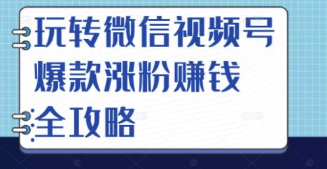 玩转微信视频号爆款涨粉赚钱全攻略，让你快速抓住流量风口，收获红利财富 - 网赚资源网-网赚资源网
