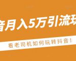 老古董·抖音月入5万引流玩法,看看老司机如何玩转抖音(附赠:抖音另类引流思路)-网赚资源网