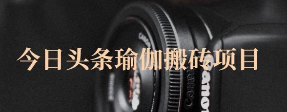 猎人社区·今日头条瑜伽搬砖项目，单号一天几十收入，可以批量操作！ - 网赚资源网-网赚资源网