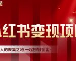 渣圈学苑·小红书虚拟资源变现项目,一起捞钱掘金价值1099元-网赚资源网
