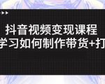 抖音短视频变现课程:带你学习如何制作带货+打造IP【41节】-网赚资源网