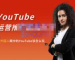 外国人眼中的YouTube该怎么玩?Elisa·YouTube运营推广实战技巧-网赚资源网