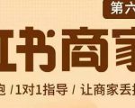 贾真-小红书商家营第6期商家版,21天带货陪跑课,让商家丢掉付流量-网赚资源网