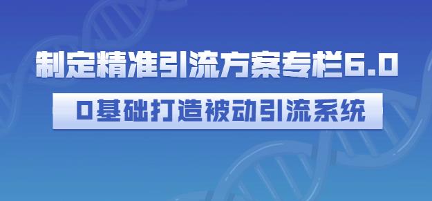 制定精准引流方案专栏6.0，0基础打造被动引流系统 - 网赚资源网-网赚资源网